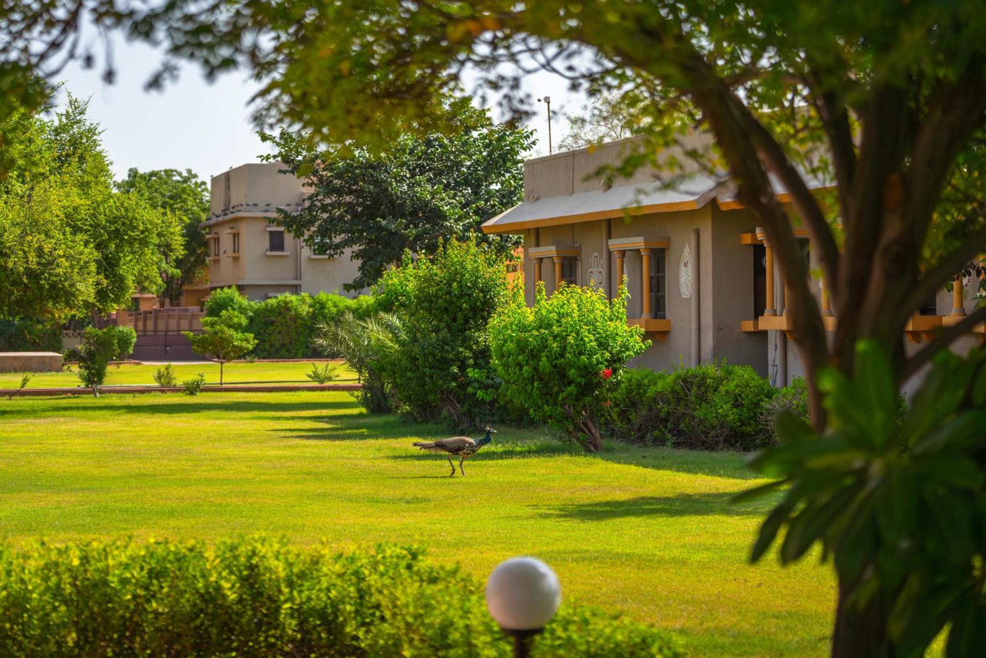 Thar Oasis Resort And Camp Dechu Luaran gambar